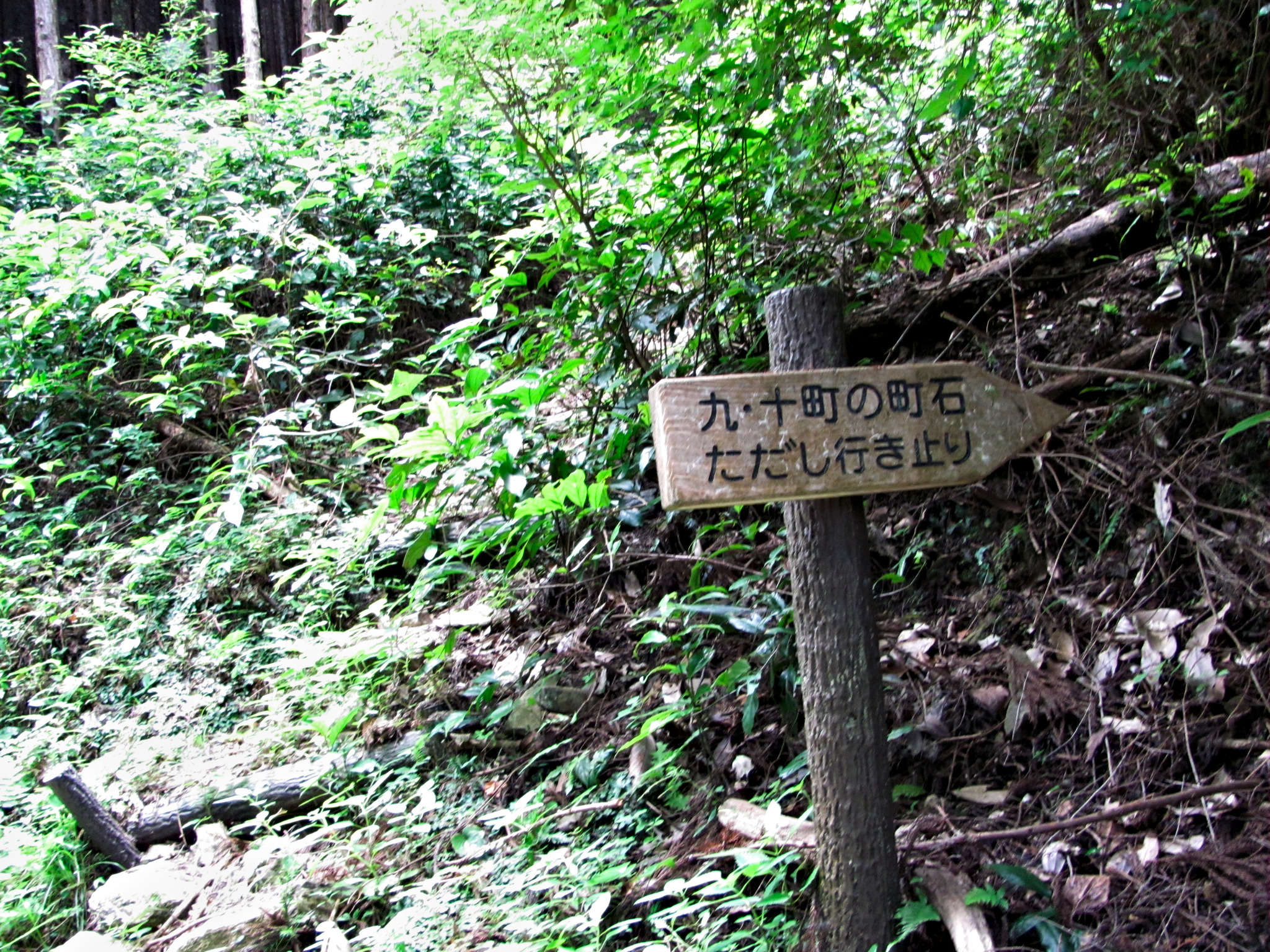 「九・十町の町石 ただし行き止り」の案内板